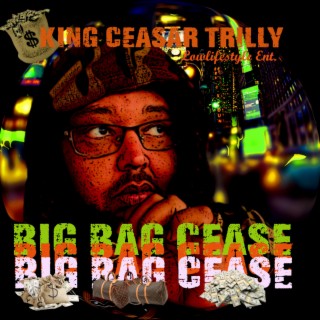 Big Bag Cease