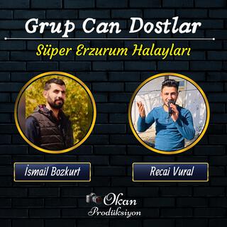 Grup Can Dostlar Halaylar