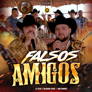 Falsos Amigos