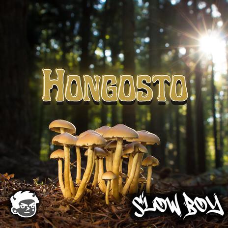 Hongosto | Boomplay Music