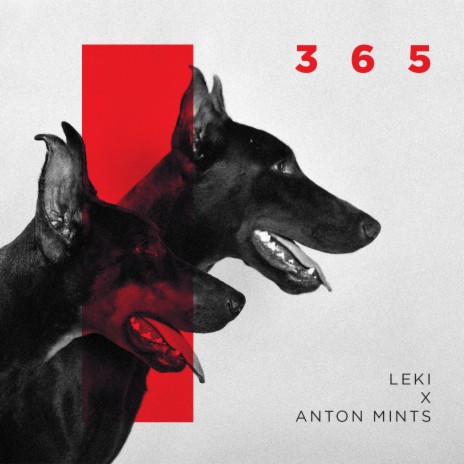 skit (qp) ft. Anton Mints