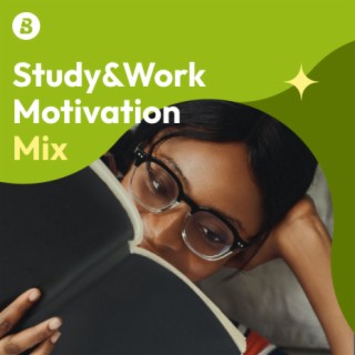 Study&Work Motivation Mix
