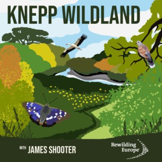 #7 Knepp Wildland - England