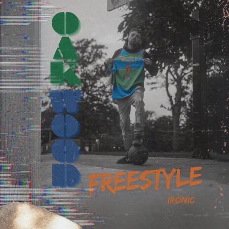 Oakwood Freestyle | Boomplay Music