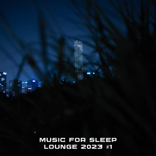 MUSIC FOR SLEEP. Lounge 2023