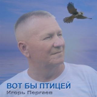 Вот бы птицей