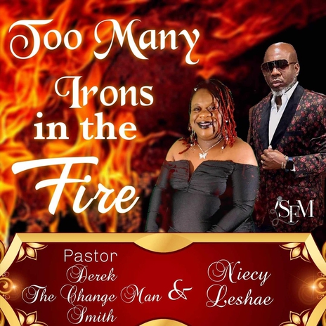 Too Many Irons in the Fire (feat. Niecy Leshae) | Boomplay Music