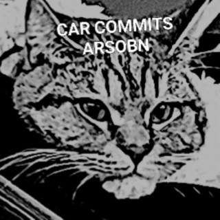 CAR COMMITS ARSOBN