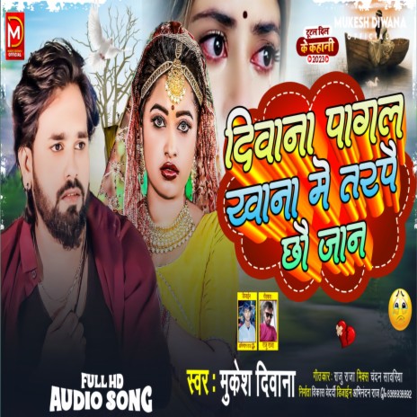 Deewana Pagal Khana Me | Boomplay Music