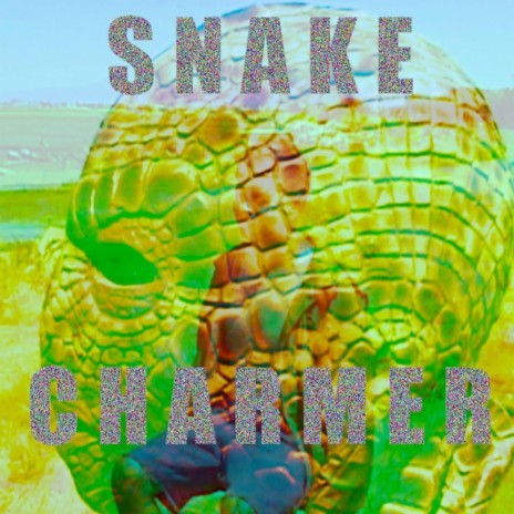 Snake Charmer | Boomplay Music