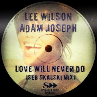 Love Will Never Do (Seb Skalski Remix)