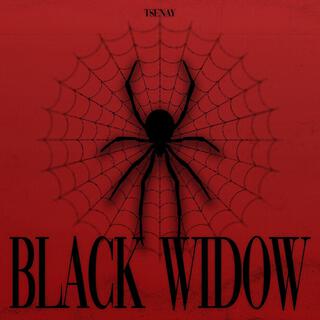 Black Widow (Hardstyle)