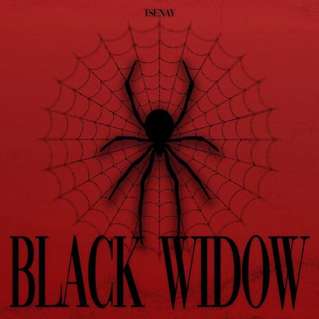 Black Widow (Hardstyle) | Boomplay Music