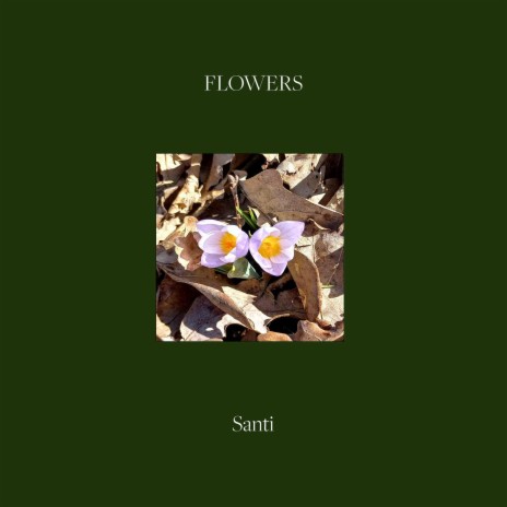 Flowers | Boomplay Music