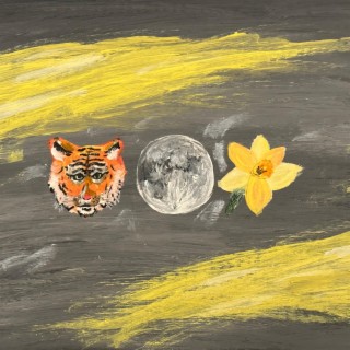 Tiger, Moon, Daffodil