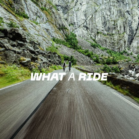 Gobik What a Ride | Boomplay Music
