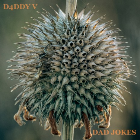 Dad Jokes (Original Mix)