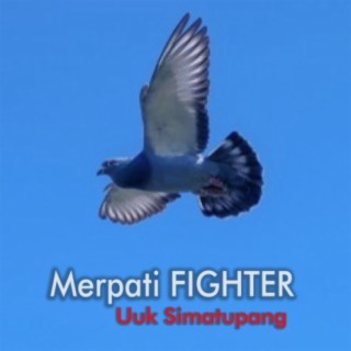 Merpati Fighter