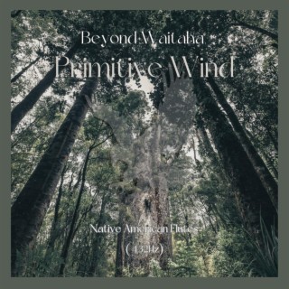 Download Primitive Wind album songs: Beyond Waitaha | Boomplay Music