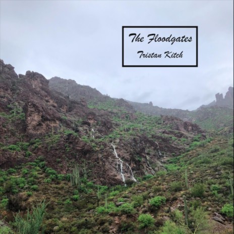 The Floodgates | Boomplay Music