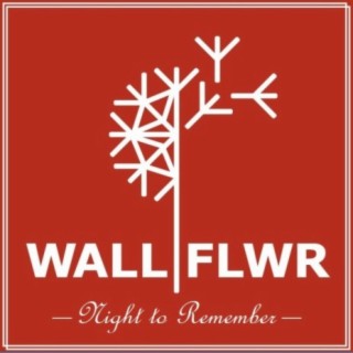 WALL FLWR