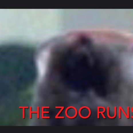 The Zoo Runs Wild | Boomplay Music
