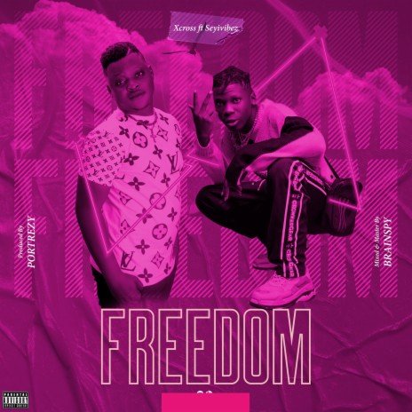 Freedom ft. Seyi Vibez | Boomplay Music