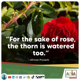 For the Sake of the Rose, the Thorn is Watered Too | African Proverbs | AFIAPodcast
