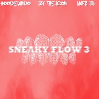 Sneaky Flow 3