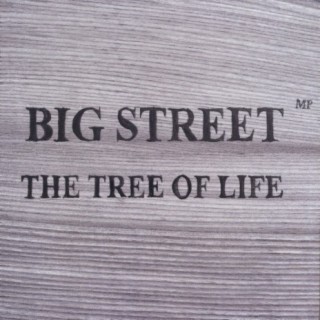 Big Street M.P.