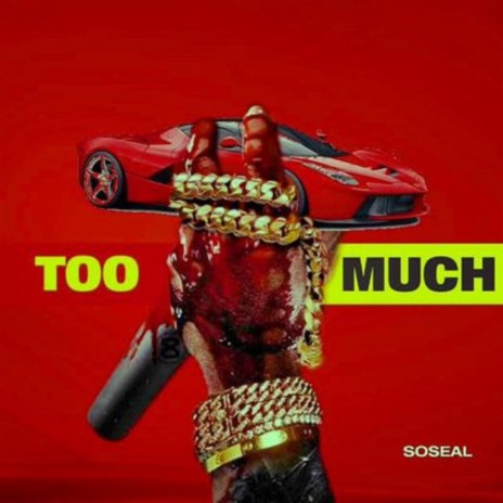 Too much | Boomplay Music