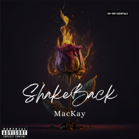 ShakeBack | Boomplay Music