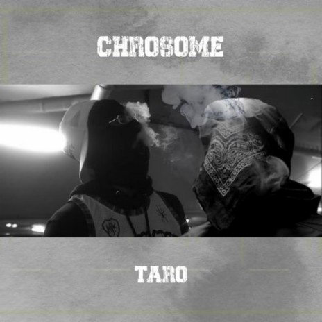 Taro | Boomplay Music