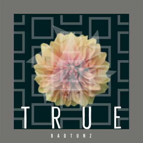 True | Boomplay Music