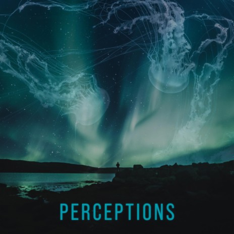 Perceptions | Boomplay Music