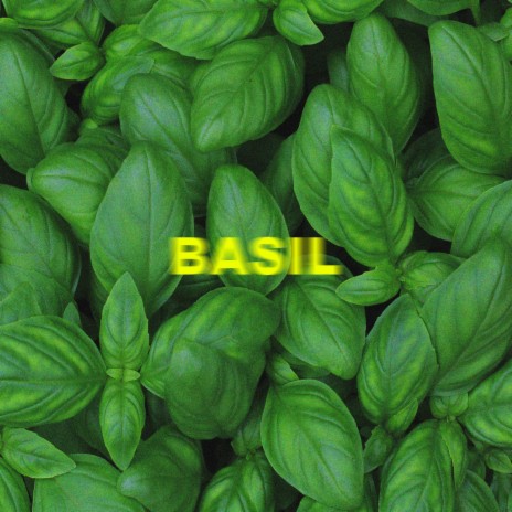 Basil | Boomplay Music