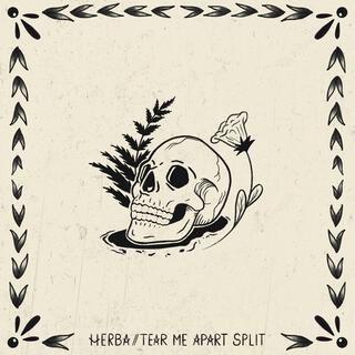 Herba / Tear Me Apart Split