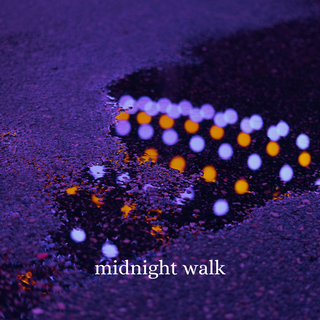 Midnight Walk