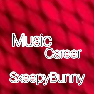 Music Career