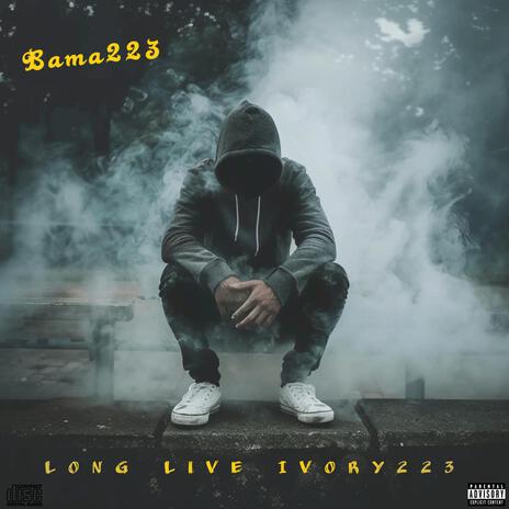 Bama223 x No Pass | Boomplay Music