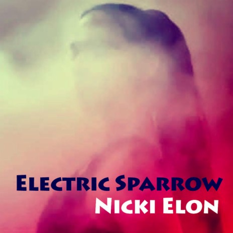 Nicki Elon | Boomplay Music