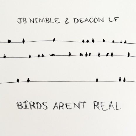 Birds Aren't Real | Boomplay Music