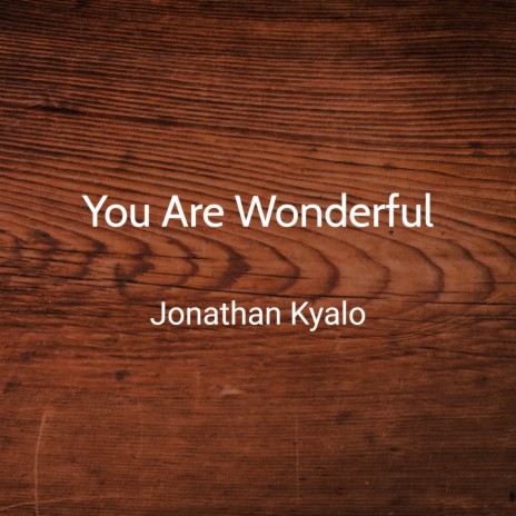 You Are Wonderful | Boomplay Music