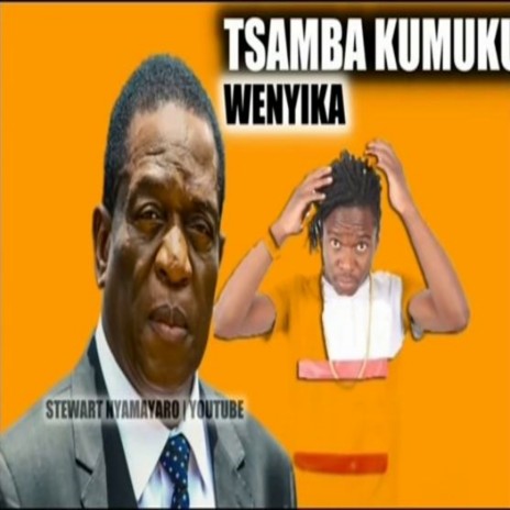 Tsamba Kumukuru Wenyika (Letter To President Emmerson Dambudzo Mnangagwa)
