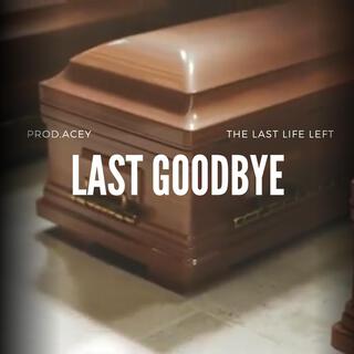 Last Goodbye