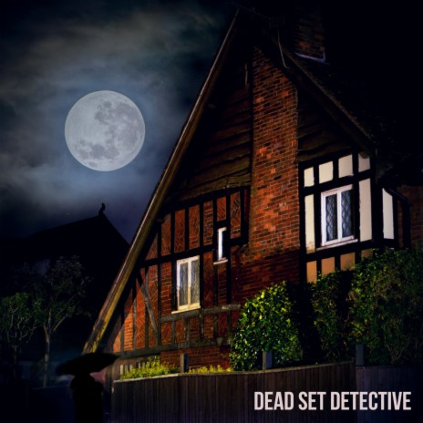 Dead Set Detective
