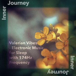 Valerian Vibes - Electronic Music for Sleep with 174Hz Frequency