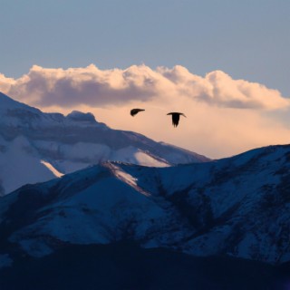 over the mountains