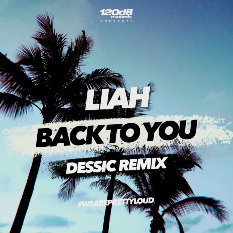 Back To You (Dessic Remix Extended) | Boomplay Music