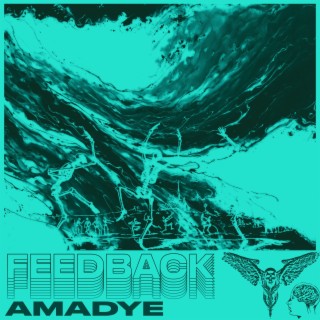 Feedback